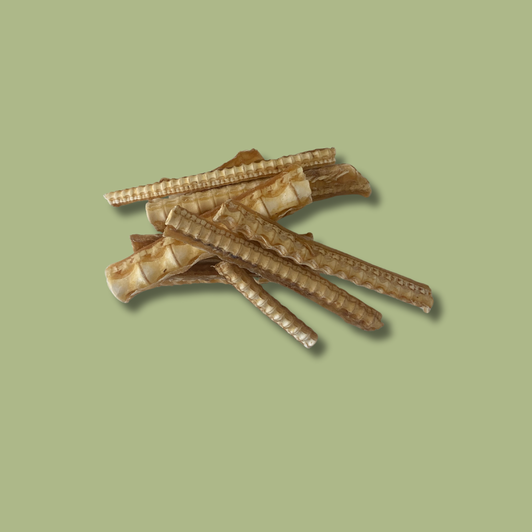 Shark Cartilage 2.png