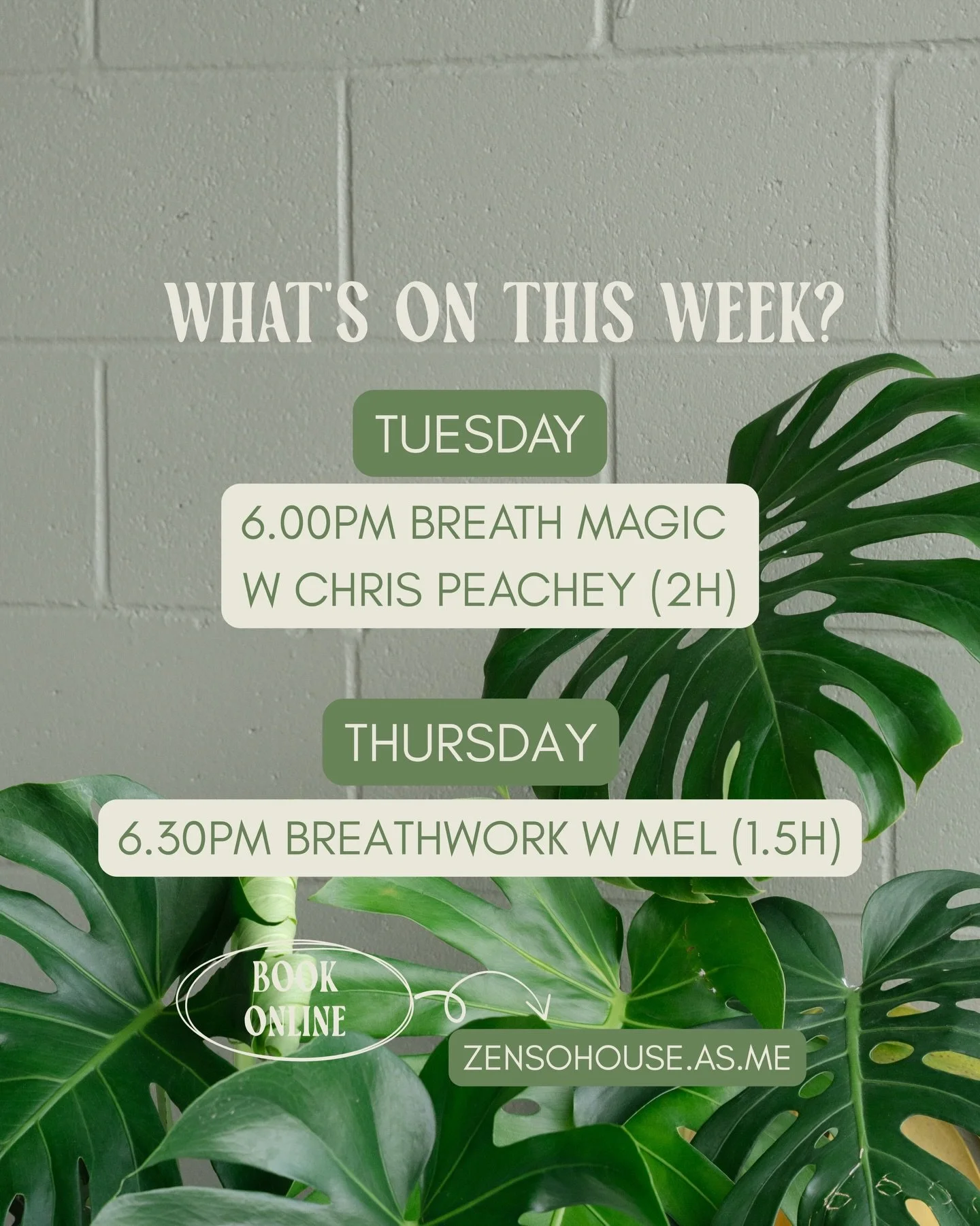 When will we see you at breathwork this week?

Tuesday join @chrispeachey for his introduction to Magic Breathwork at 6pm

Thursday join @melissabeaton.psychologist for a 90 minute breathwork designed to bring you back into your body and to allow you