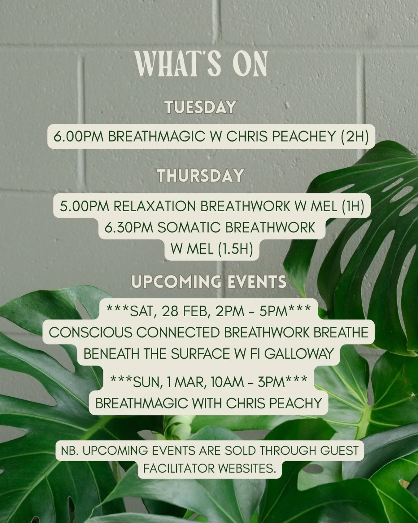 What&rsquo;s on at Zenso House | Gold Coast Breathwork Studio

Weekly breathwork classes and upcoming events designed to support nervous system regulation, stress relief and embodied connection.

Tuesday

6.00PM &ndash; BreathMagic with Chris Peachey