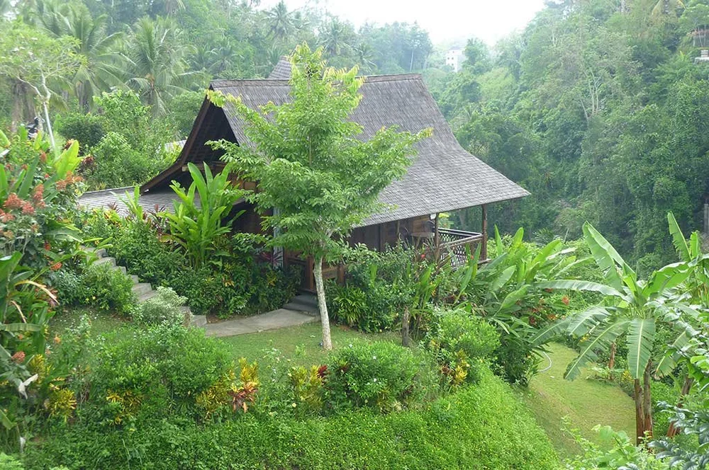 Meditation in nature