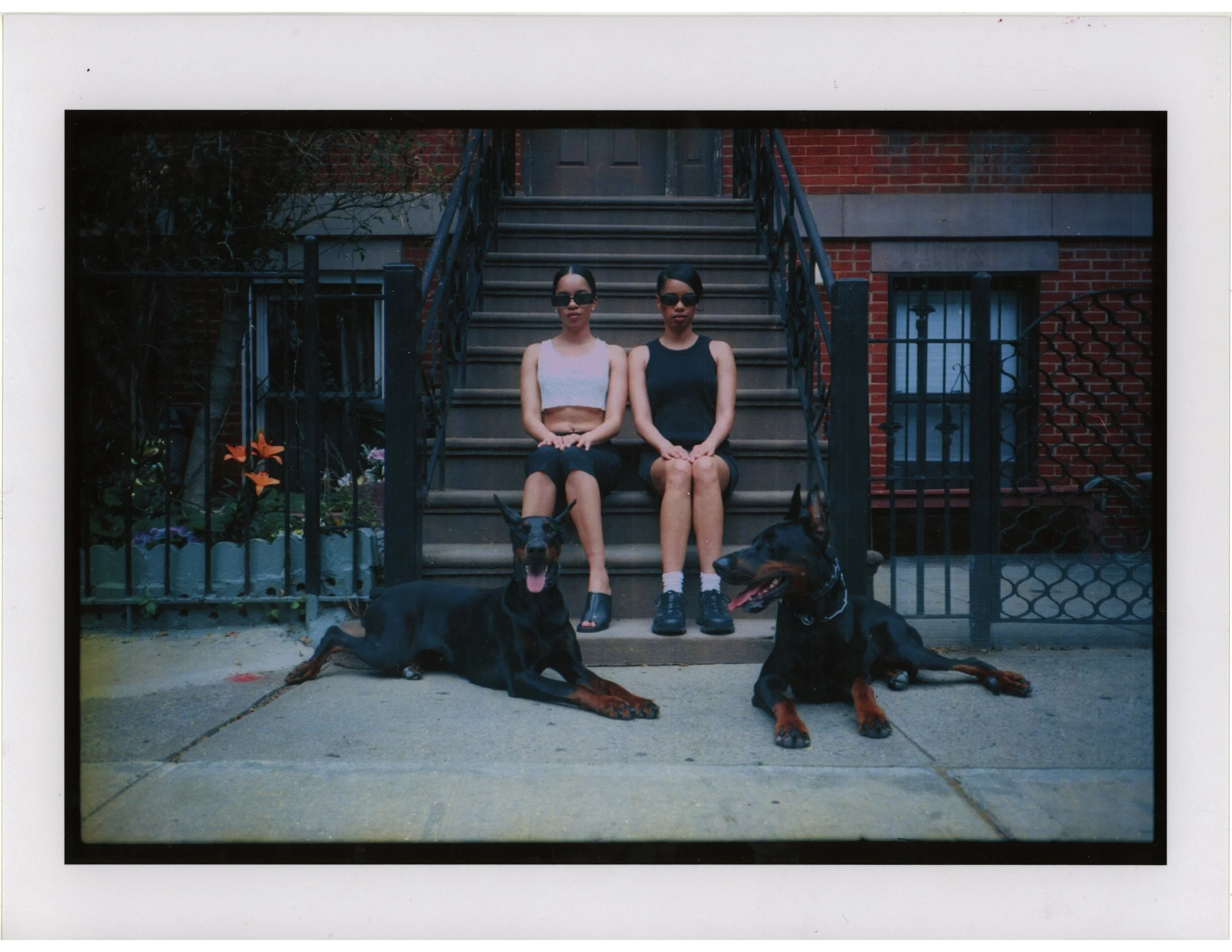 printscan6.jpg