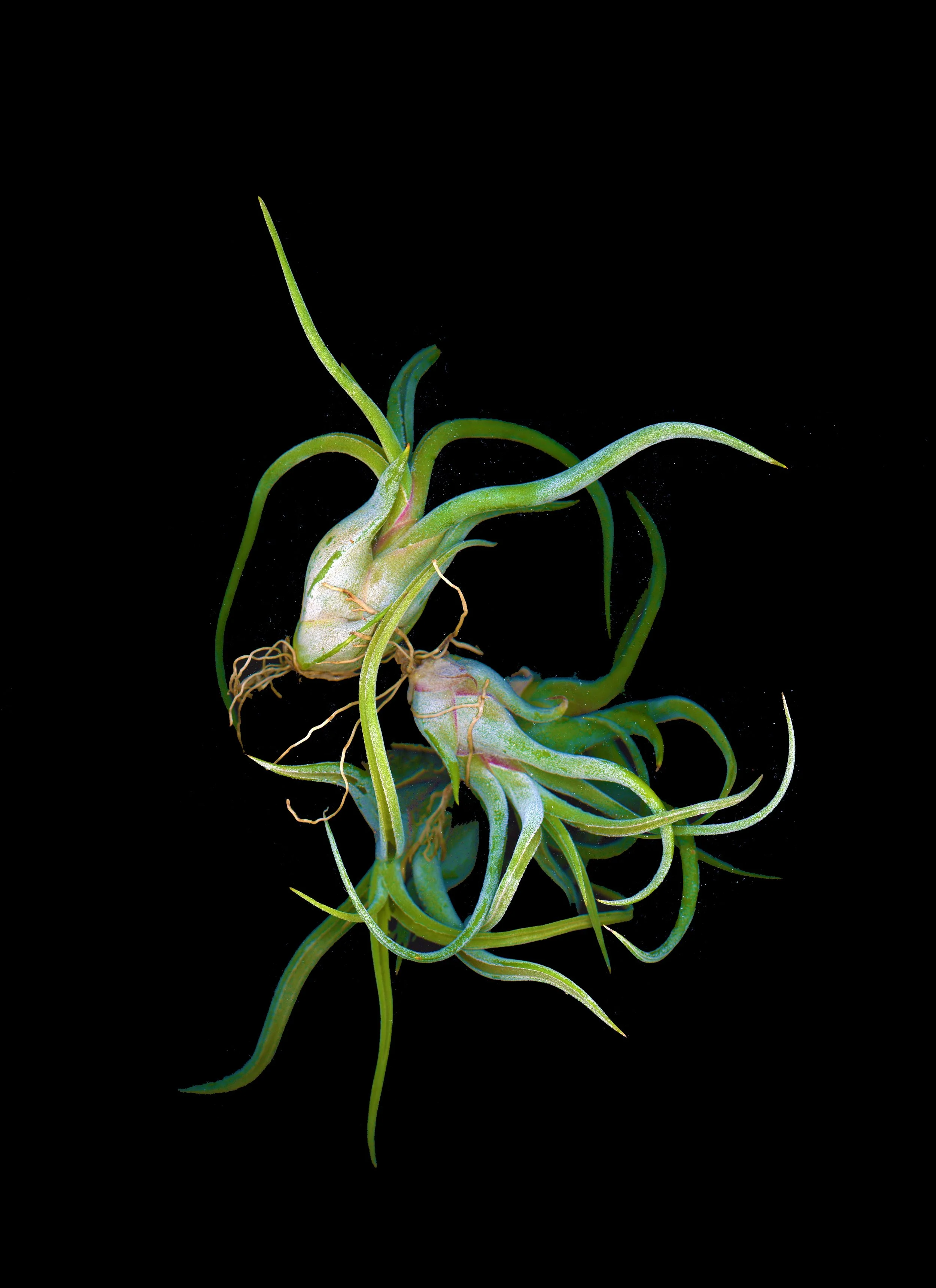 img20201012_17513105 copy.JPG