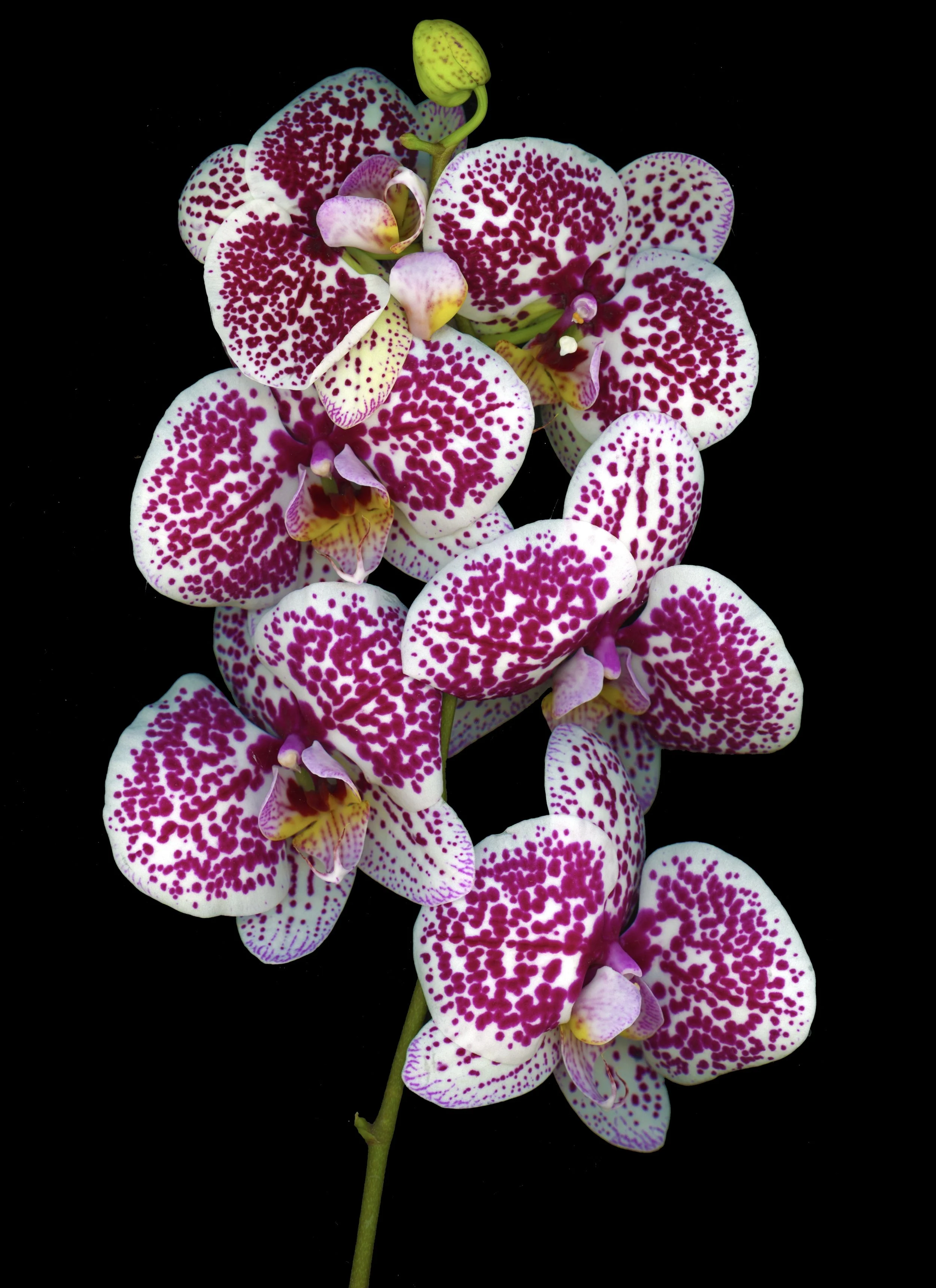 img20201207_19055255_2 2.jpg