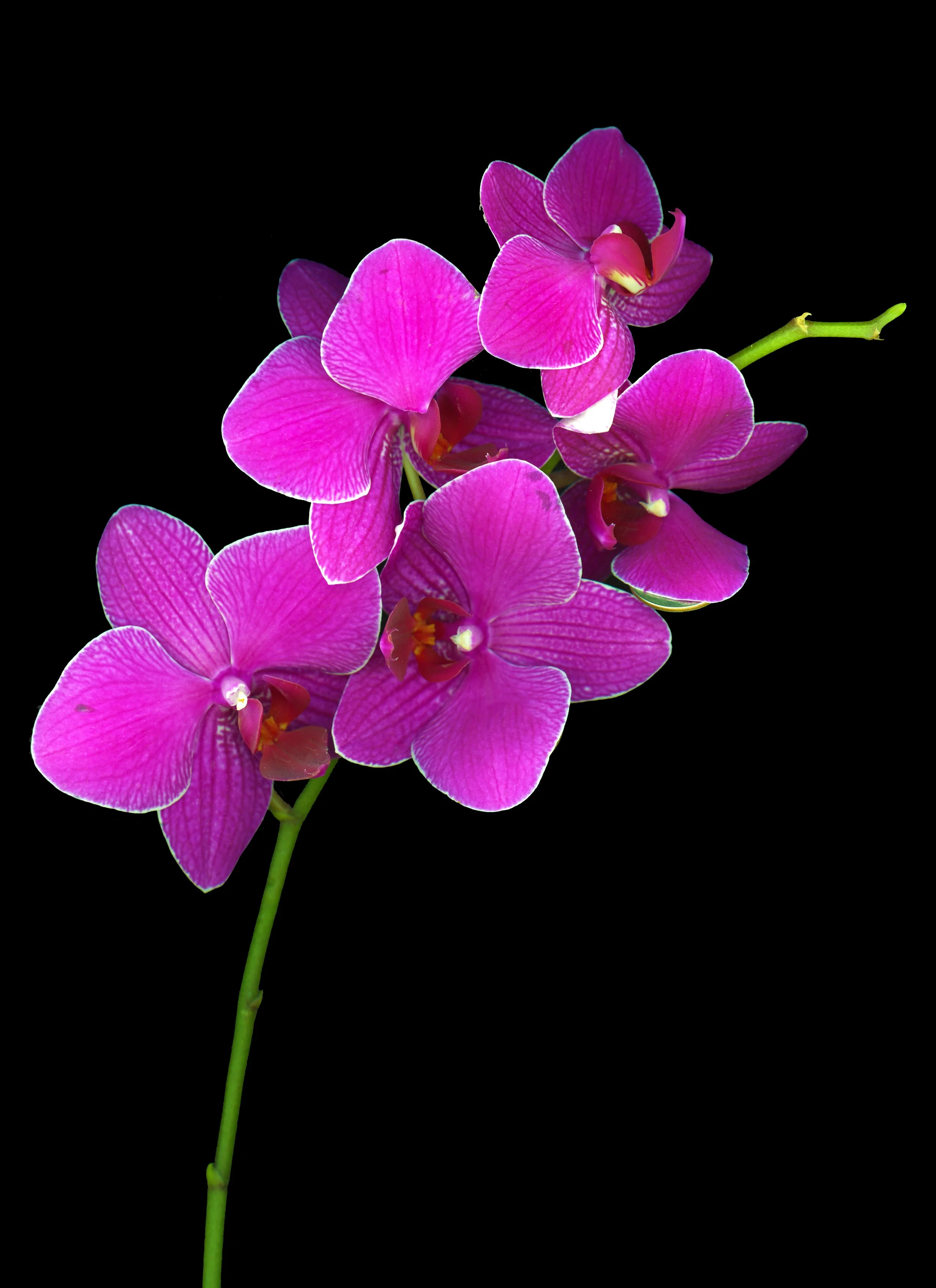 img20201207_19280465_2 2.JPG