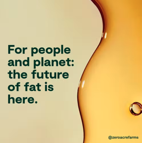 Screenshot 2026-02-20 at 5.57.45 PM.png