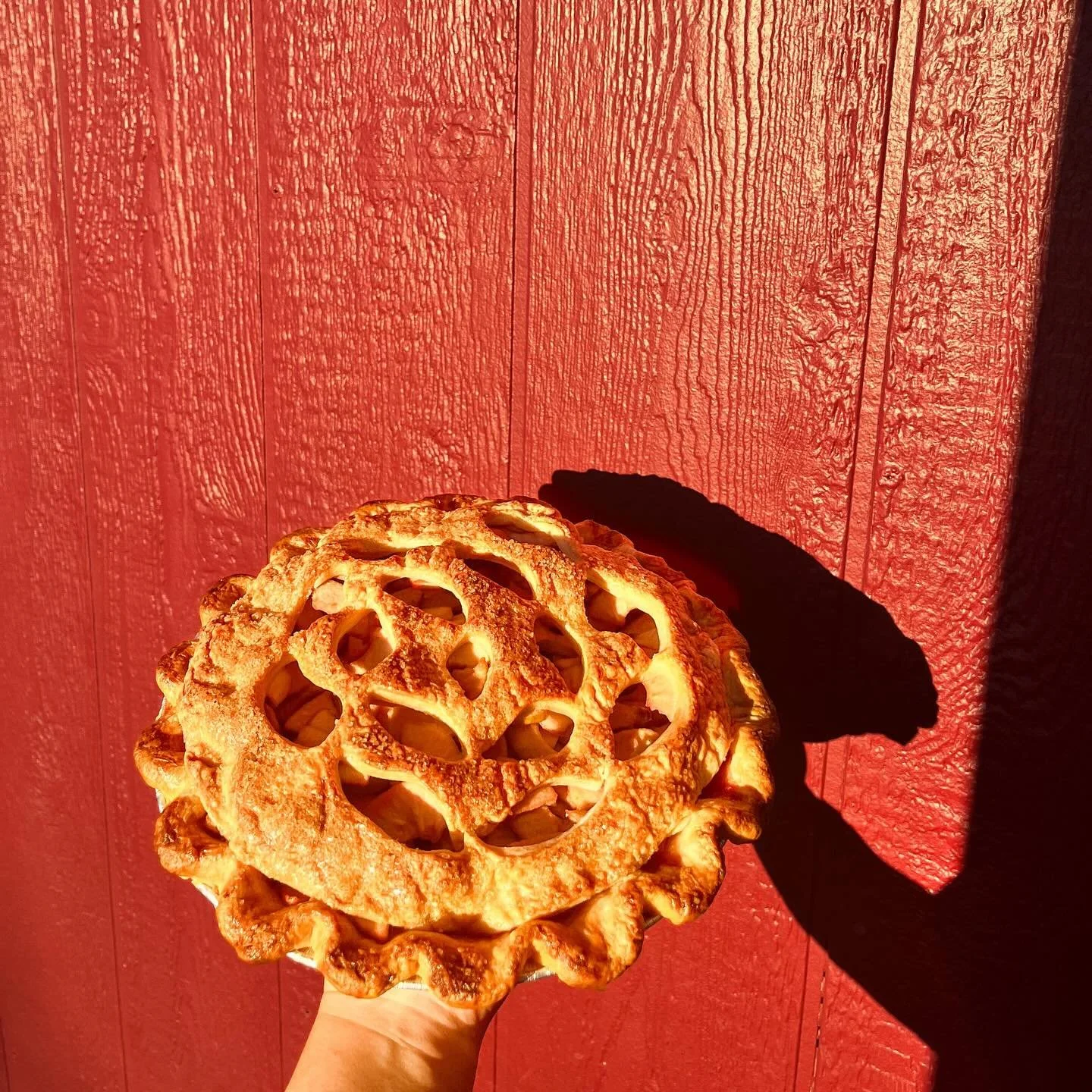 New pie alert. Flor de jamaica apple. Apples marinated in a hibiscus piloncillo syrup with warming spices.
See you today at @hidezbocce then later at @hideserttimes_mags for the release party of @camp.books.and.prints BARGAIN WITCH, or at @coyote.lit