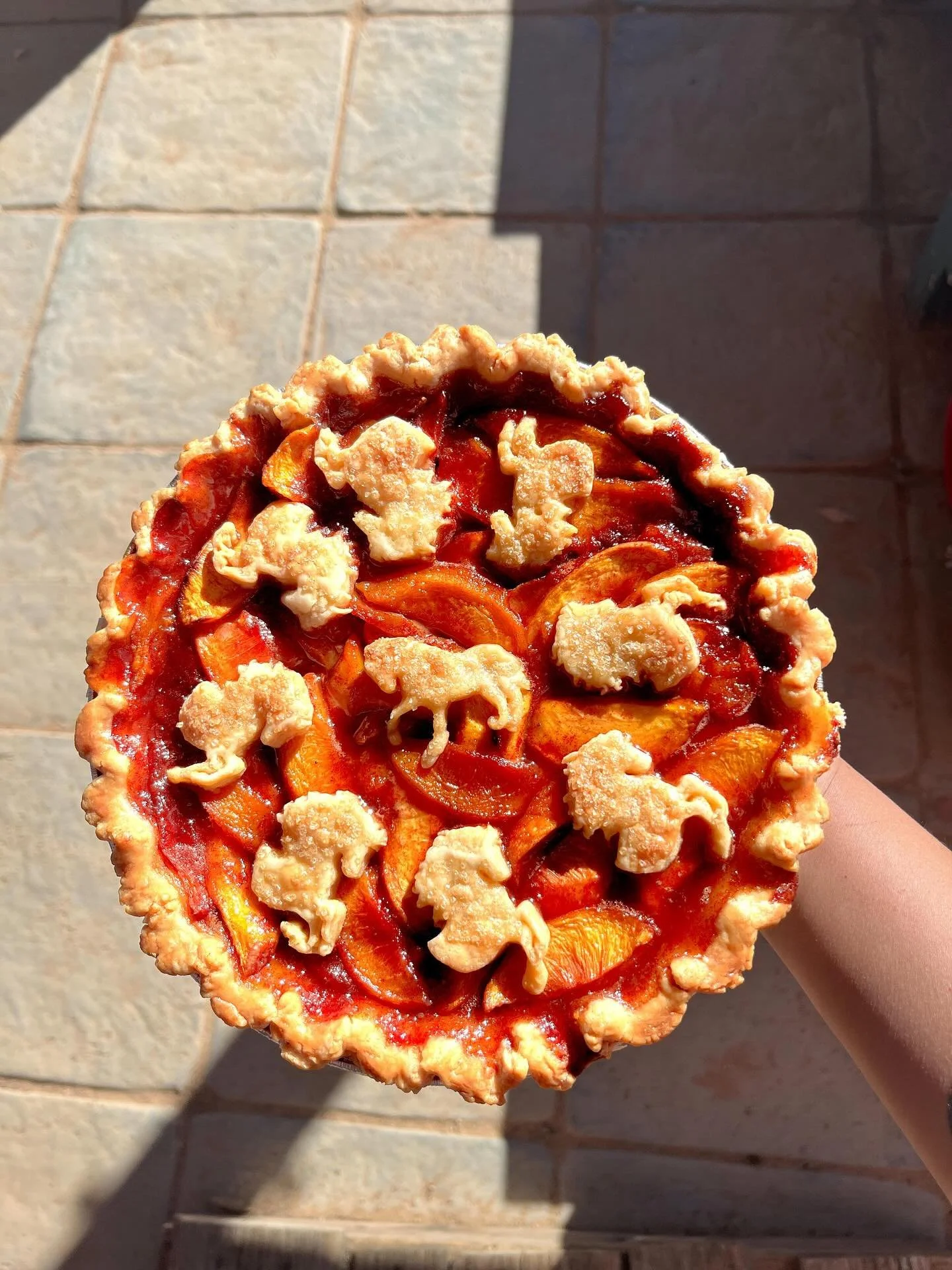 Are you a pony, coyote, or a secret third thing? This weekend at @the.tiny.pony . Peach. 🍑🍑🍑🍑🍑🍑🍑🍑