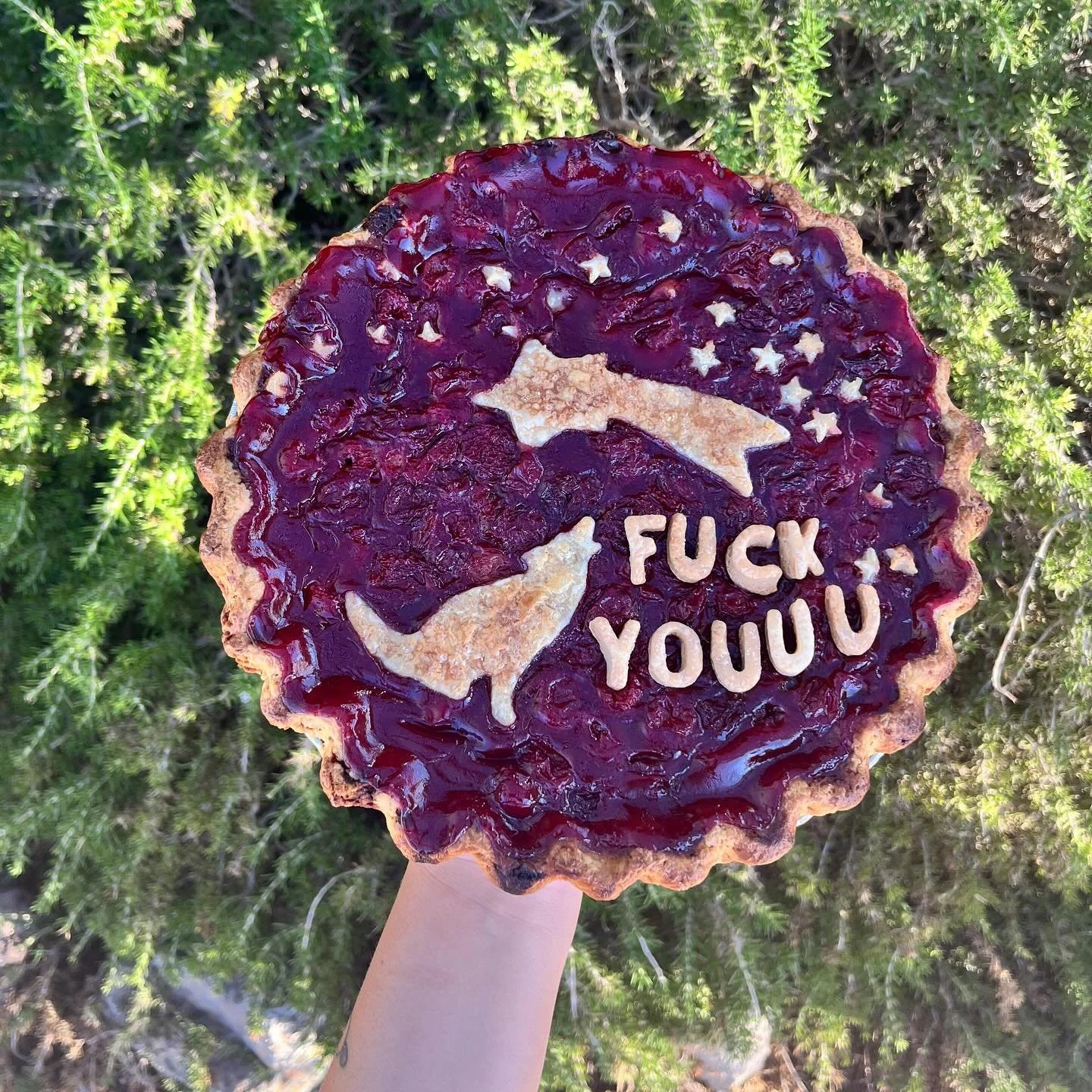 See you tonight at Desert Bingo! Come support the @morongobasinhumanesociety. On the menu tonight I&rsquo;ve got apple whiskey w/ cornflake streusel by the slice and 3 kinds of cookies!!! Come n get em. 

Yesterday was the one year anniversary of the