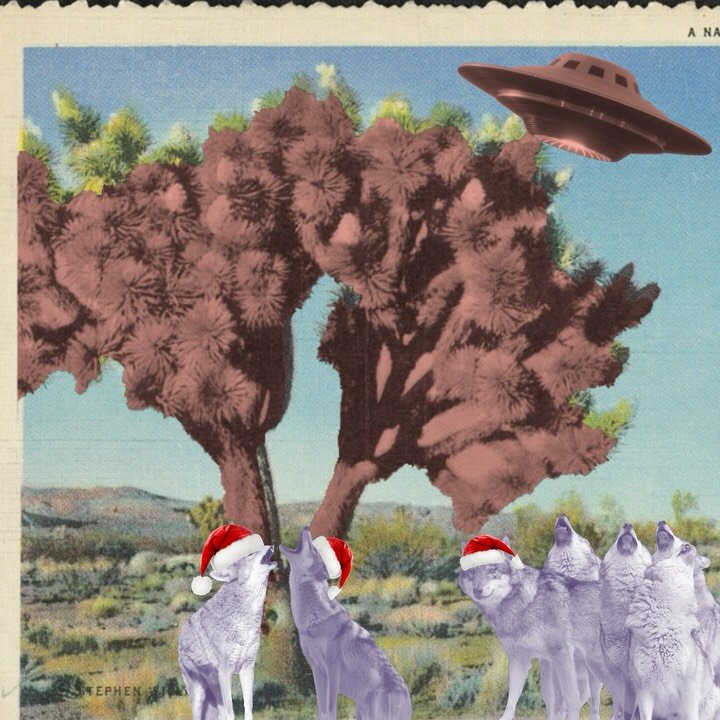 🛸The pie is out there🛸

Head over to galaxypiesjt.com to order for pick up on 12/24 at @lunasourdough 

One Cherry pie left if you were hoping for that! 

Have fun eat pie live long and prosper 🖖👽💜