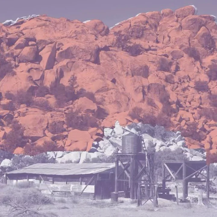 some info for this week in pie 

Starting today you can get Blueberry Pie with a Prickly Pear Crumble at @the.tiny.pony as well as a fresh batch of Brownie Cookies. 

On Saturday, grab a free slice of pie at @mojavefreeze with purchase (while supplie