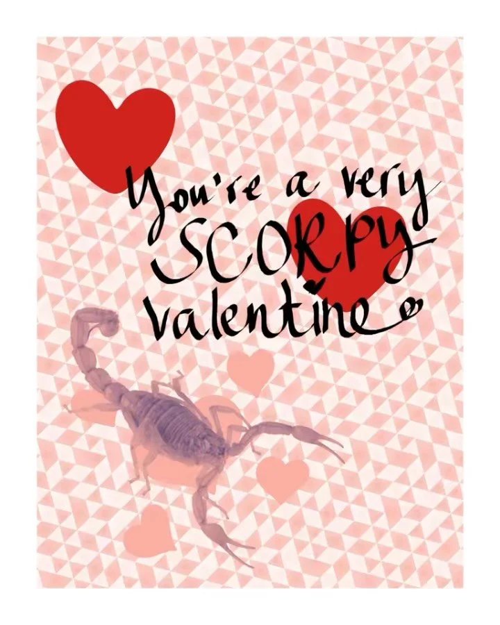 Teaming up with @scorpionlollipop29 to bring you some pie and wine for Valentine&rsquo;s Day 🌹 head to the link in bio to place your order. Wine is optional but highly recommended. If you&rsquo;re not into wine Sara and Josh from Scorpy have some gr