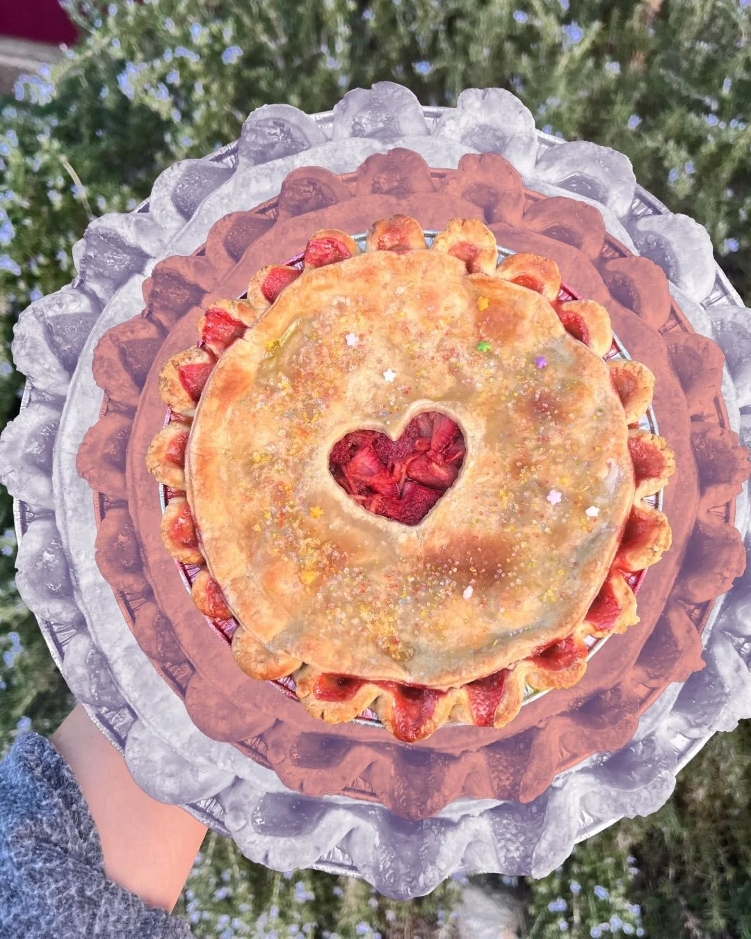 Strawberry Funfetti deserves a page in the scrapbook. + scenes from the kitchen or the studio as @heidi_schwegler called it. I&rsquo;m starting to see it through her eyes a lil more now. 

I miss my mom (she&rsquo;s space dust and juniper berries on 