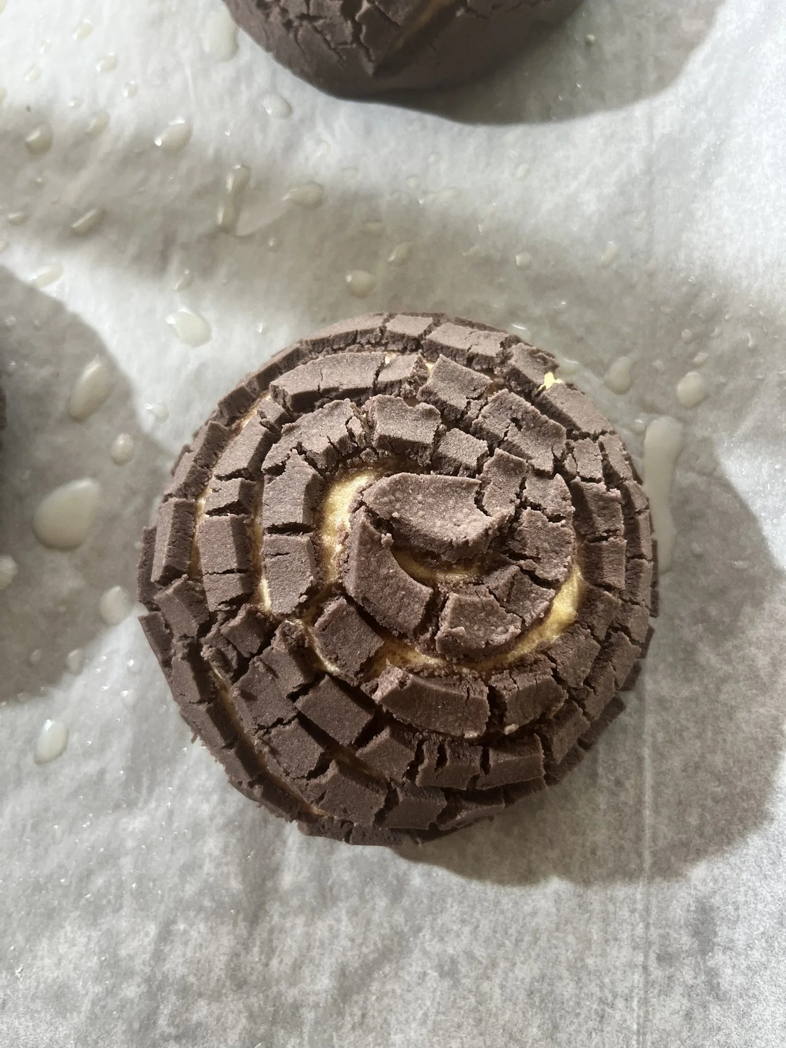 A chocolate concha