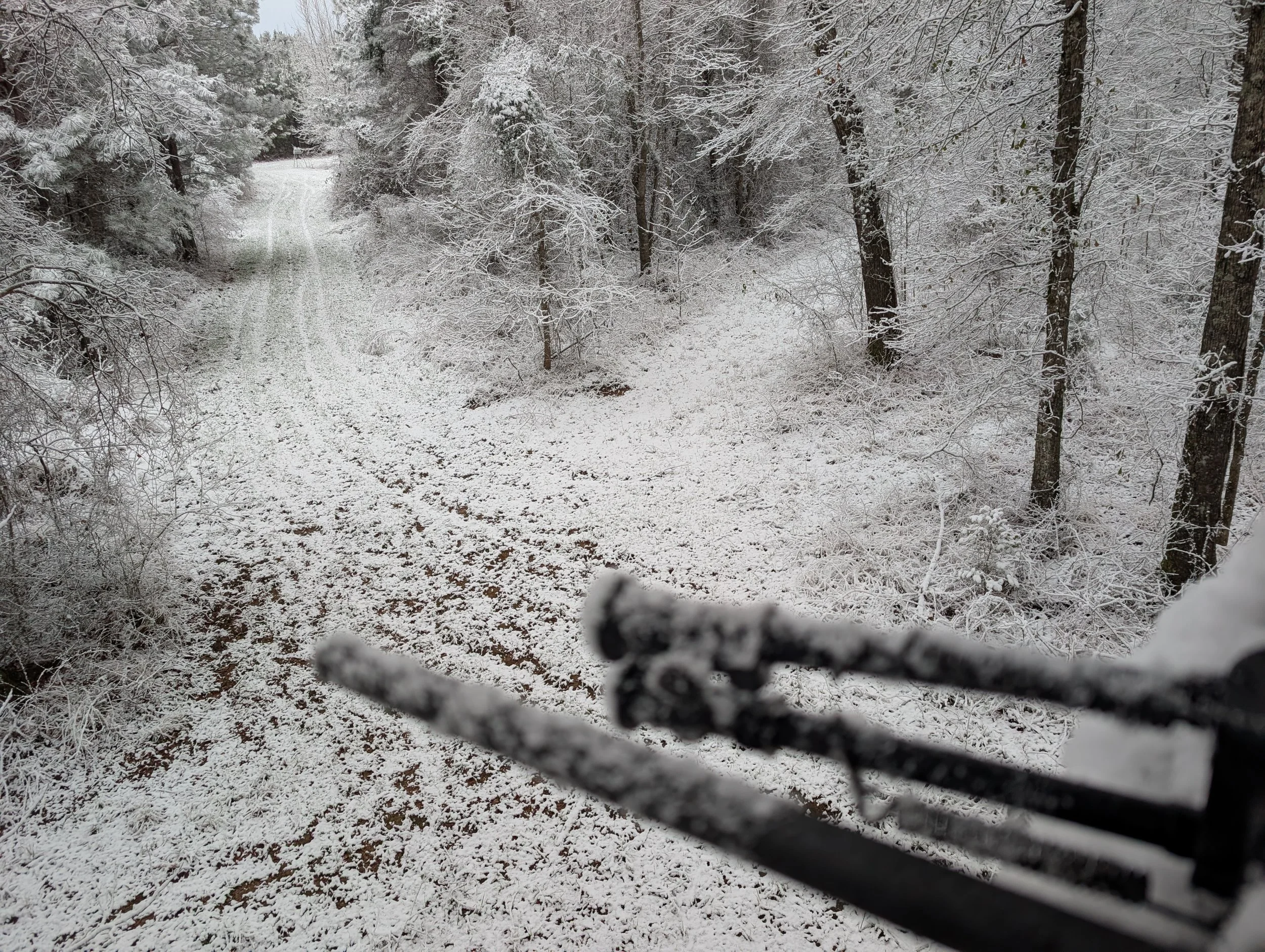 2026 Alabama Whitetail & Hog Hunt