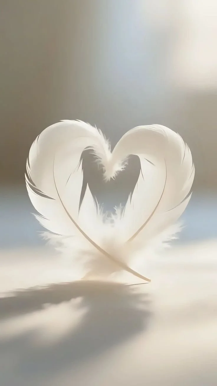 A heart-shaped arrangement of white feathers, casting a soft shadow on a light surface.