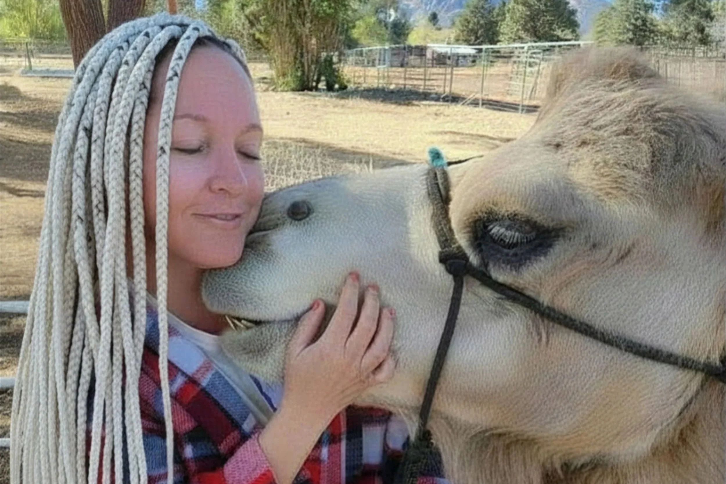 A woman with long blonde braids and a red and blue plaid shirt is hugging and petting a light-colored horse outdoors.