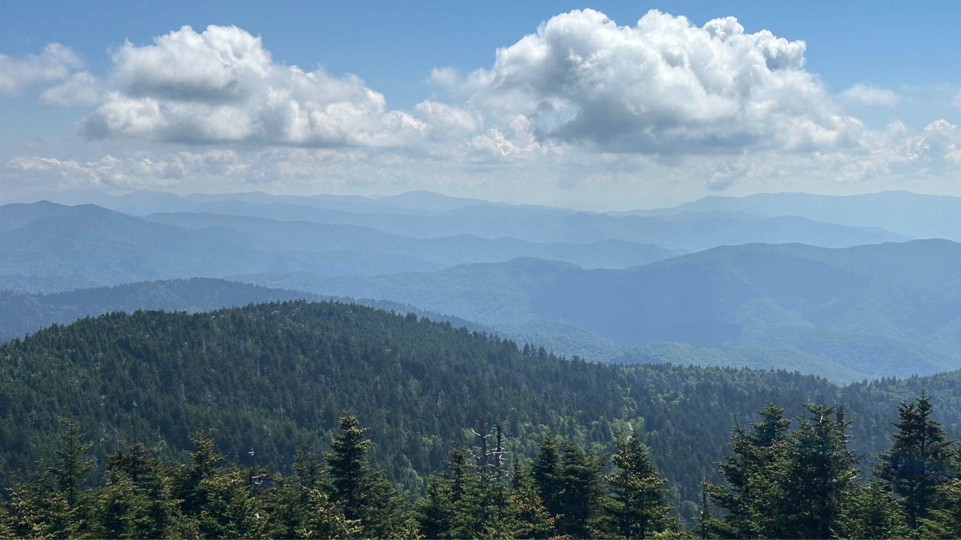 Clingmans Dome 