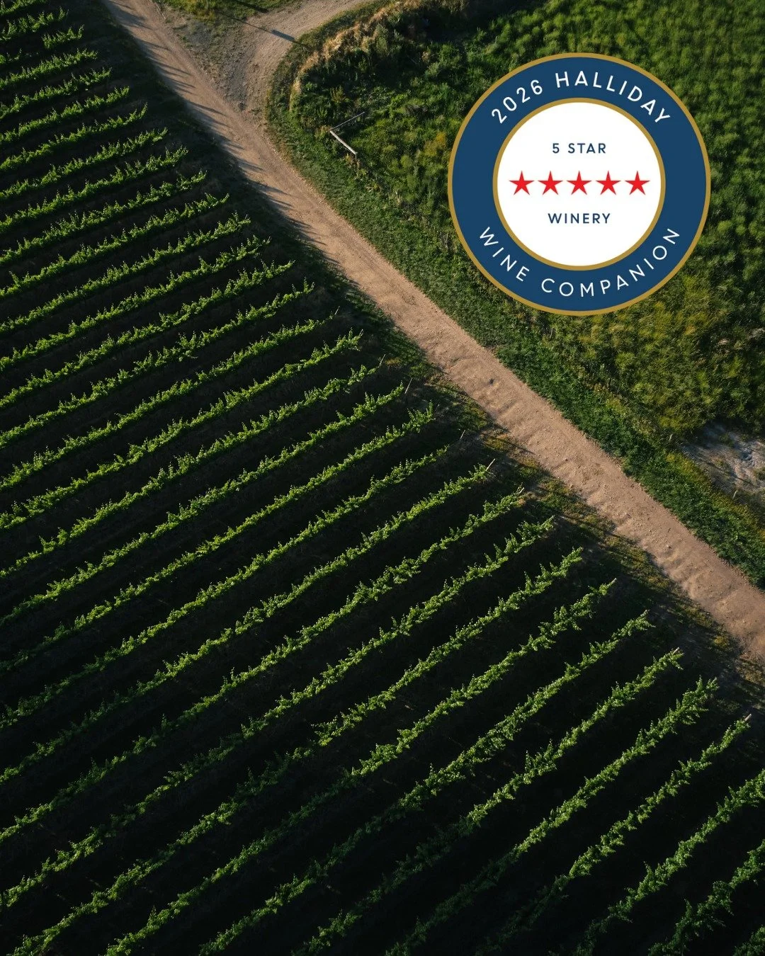 🚨 The 2026 Halliday Companion is here&hellip; and Longview is shining bright! 🌟

We&rsquo;ve held on to our 5 Red Star status AND scored 10 wines at 92+ points 🙌

✨ 95 POINT STARS:
🍷 Saturnus Nebbiolo
🍷 The Piece Shiraz
🍷 Macclesfield Cabernet 