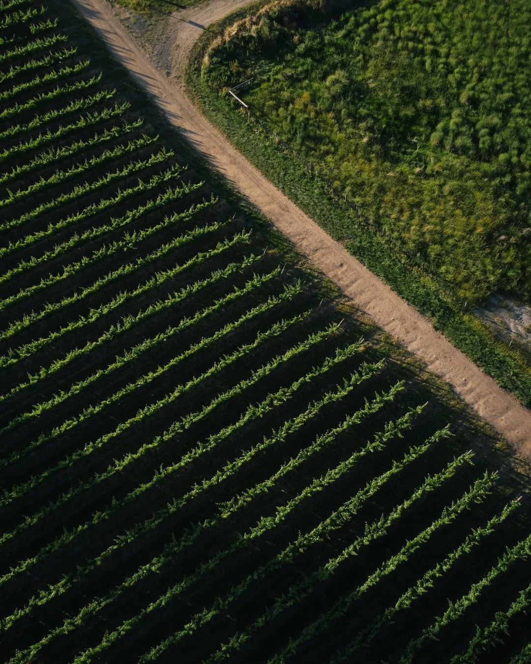 There&rsquo;s so much to love about the Adelaide Hills from charming restaurants and cosy bars to breathtaking lookouts, scenic trails, and local gems waiting to be discovered. 🍷🌿✨

Need some inspiration? Head to the Visit section on our website to