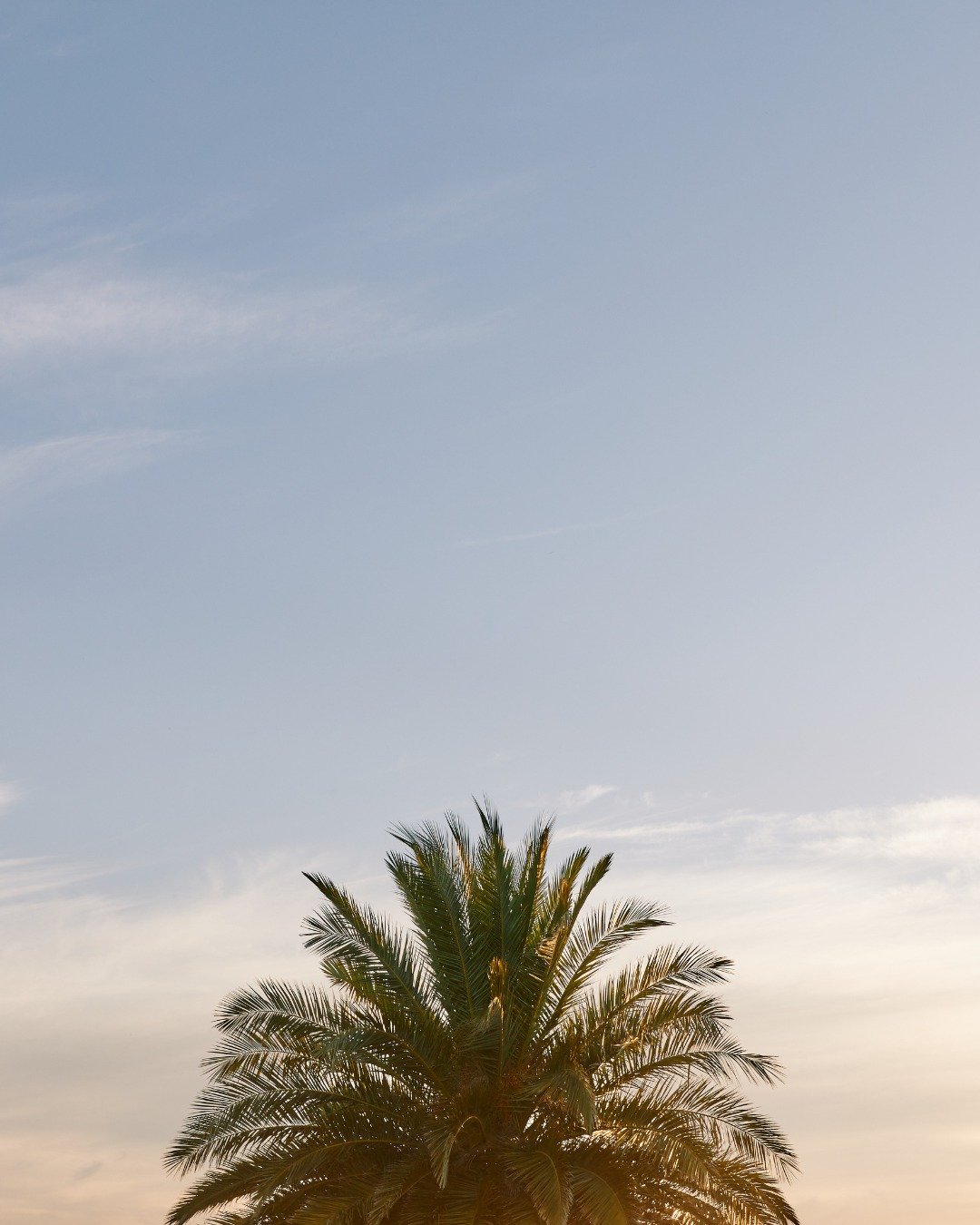 Golden hour hits different at Twin Palms Lookout 🌴✨

Perched above the vineyard with sweeping views across the valley, our Twin Palms Lookout is one of the most magical spots on the property, especially at dusk, when the sky turns soft gold and the 