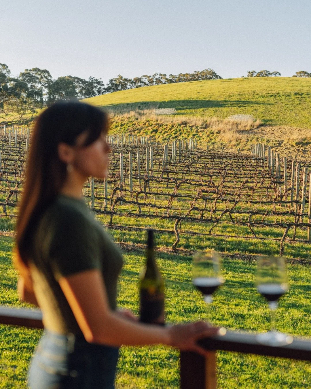 🌿 Stay 3 Pay 2 at Longview ✨

Make your next escape last a little longer. Book any Longview or Vineyard Suite and enjoy your third night completely free.

Unwind in the day spa, sip through a cellar door tasting, dine in our restaurant, wander the w