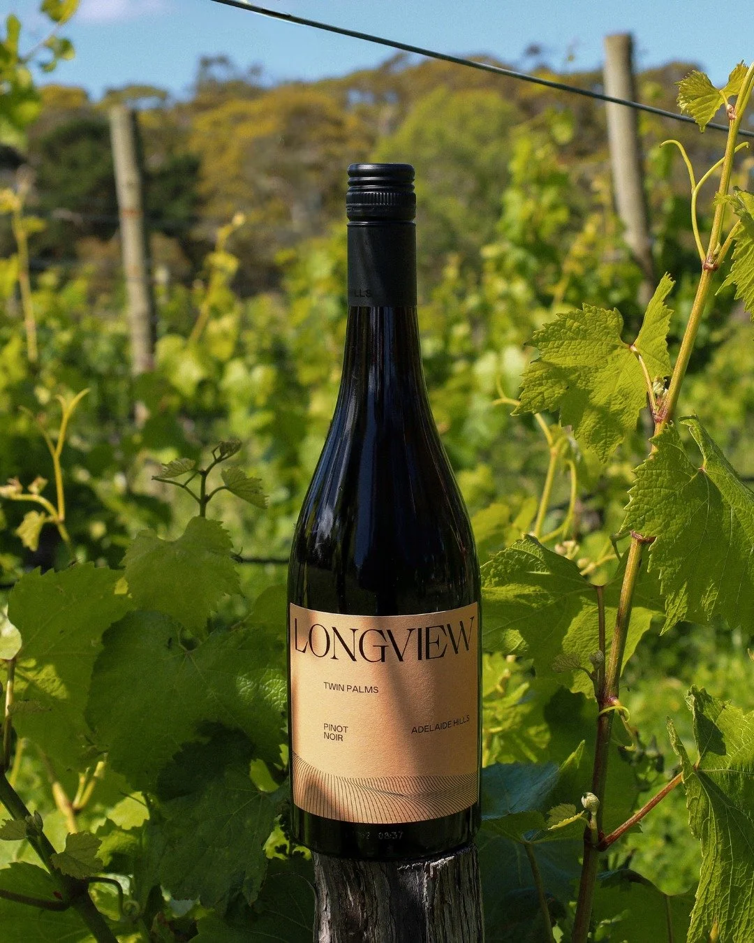 Our wine of the month is the 2025 Twin Palms Pinot Noir. Think bright cherry, juicy raspberry and a hint of plum with a fresh crunchy finish. 🍒

A beautiful expression of an exceptional vintage and a perfect choice for weeknight dinners or long summ