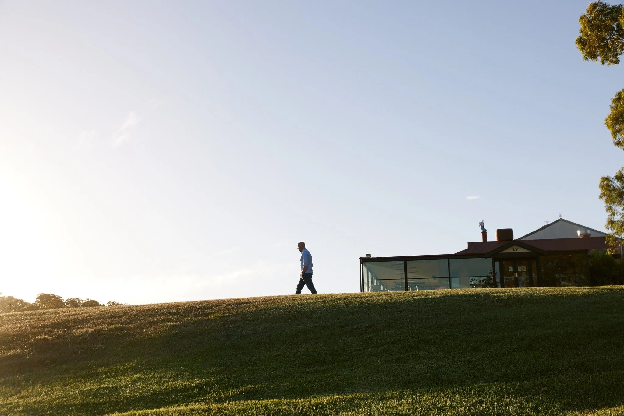 Those summer hues... and Pete trying to escape from us all! 🤪☀