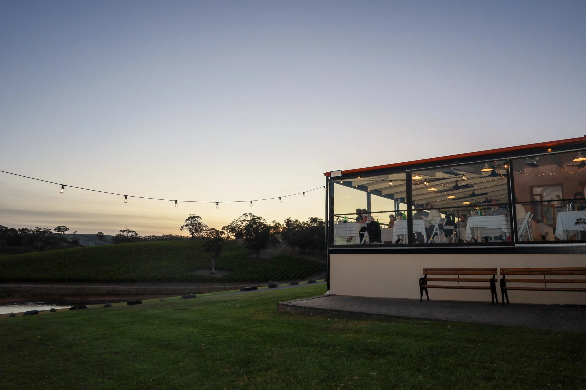 Valentine's Day Dinner