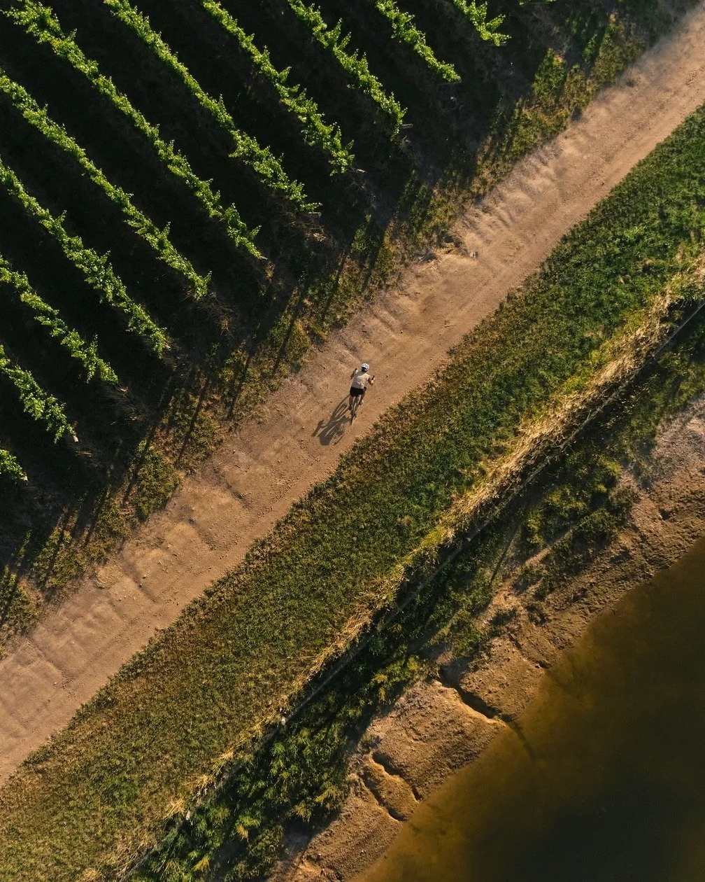 Are you in the Adelaide Hills this Friday for the Tour Down Under 🚴&zwj;♂️🍇

Why not pop in to Longview Vineyard for lunch? Our full menu is available, and if you are after something easy, enjoy our pasta and wine special for just $29 🍝🍷

The per