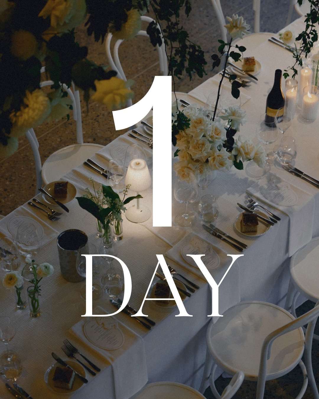 ✨ ONE SLEEP ✨

Our Twilight Wedding Open Day is happening this Sunday, 1 February and it is FREE to attend, just make sure you register at our link in the bio ✨

Meet an incredible line up of wedding suppliers, sit down with our events team to talk t