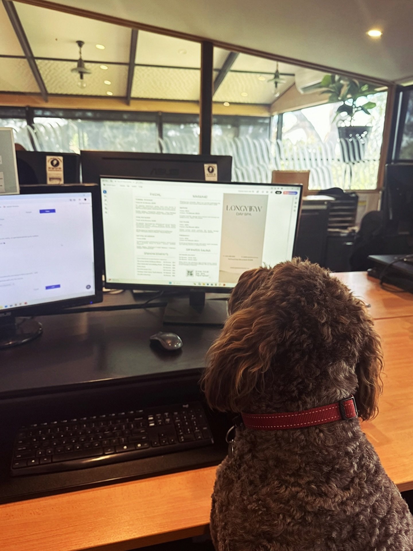 When you have a staff meeting and need someone to be on the phones, it&rsquo;s Max to the rescue. 😅

He also glanced over our new Day Spa menu and liked what he saw 👀 launching soon 🙌🏼