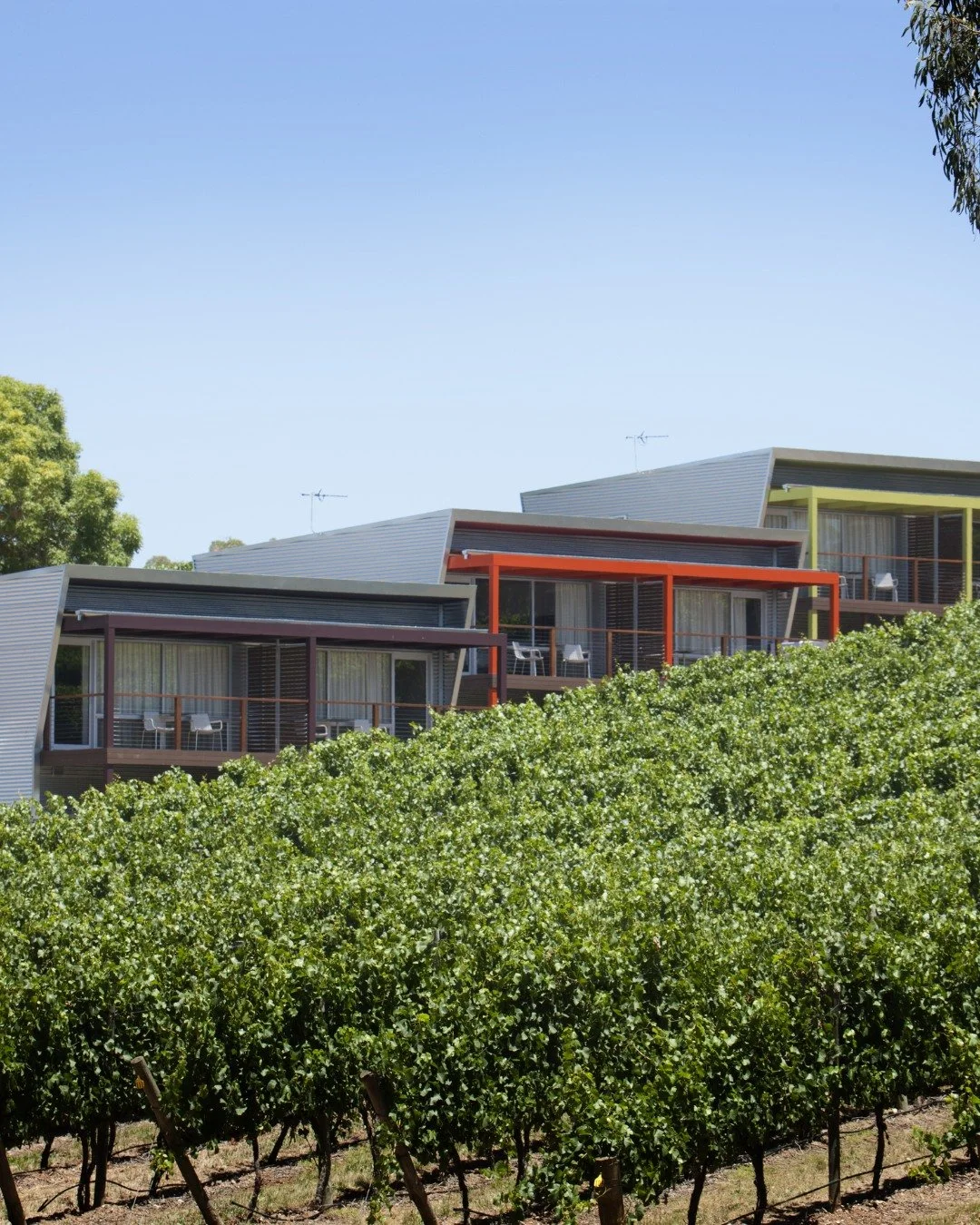 Escape to the Adelaide Hills with our Stay 3, Pay 2 offer.

Available Sunday to Thursday, enjoy three nights in our vineyard accommodation from just $460. Take your time to unwind, soak in the views and experience everything Longview has to offer.

W