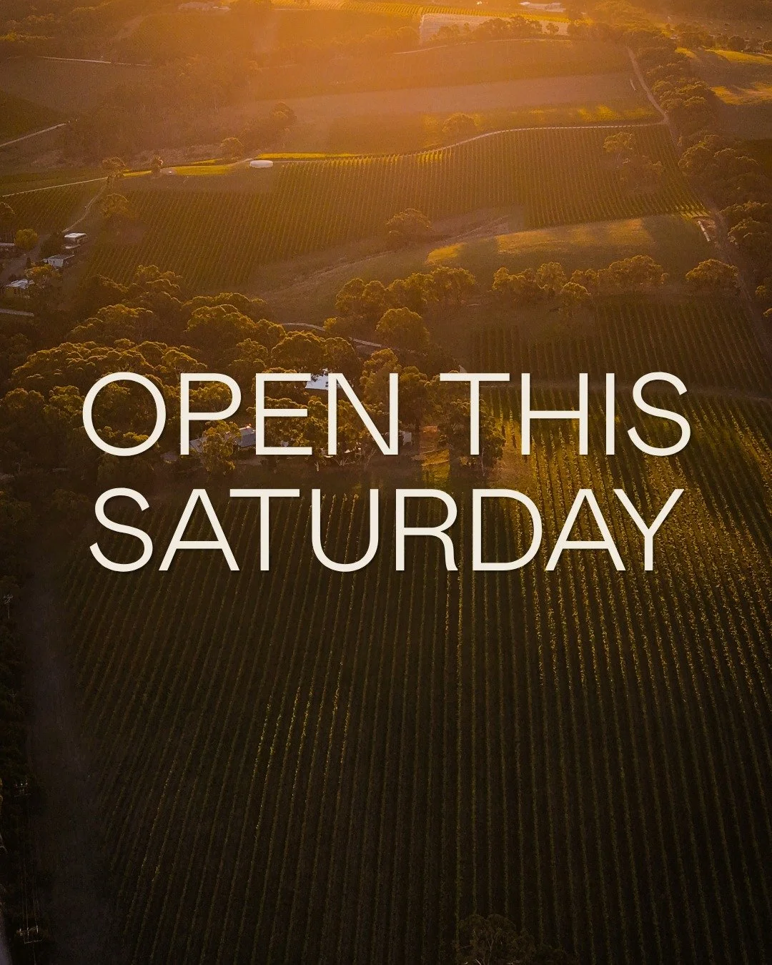 Our Cellar Door will be open on Anzac Day from 11am to 4pm.
Join us for relaxed wine tastings and lunch, set against our sweeping vista views.

Book now via our website. ✨