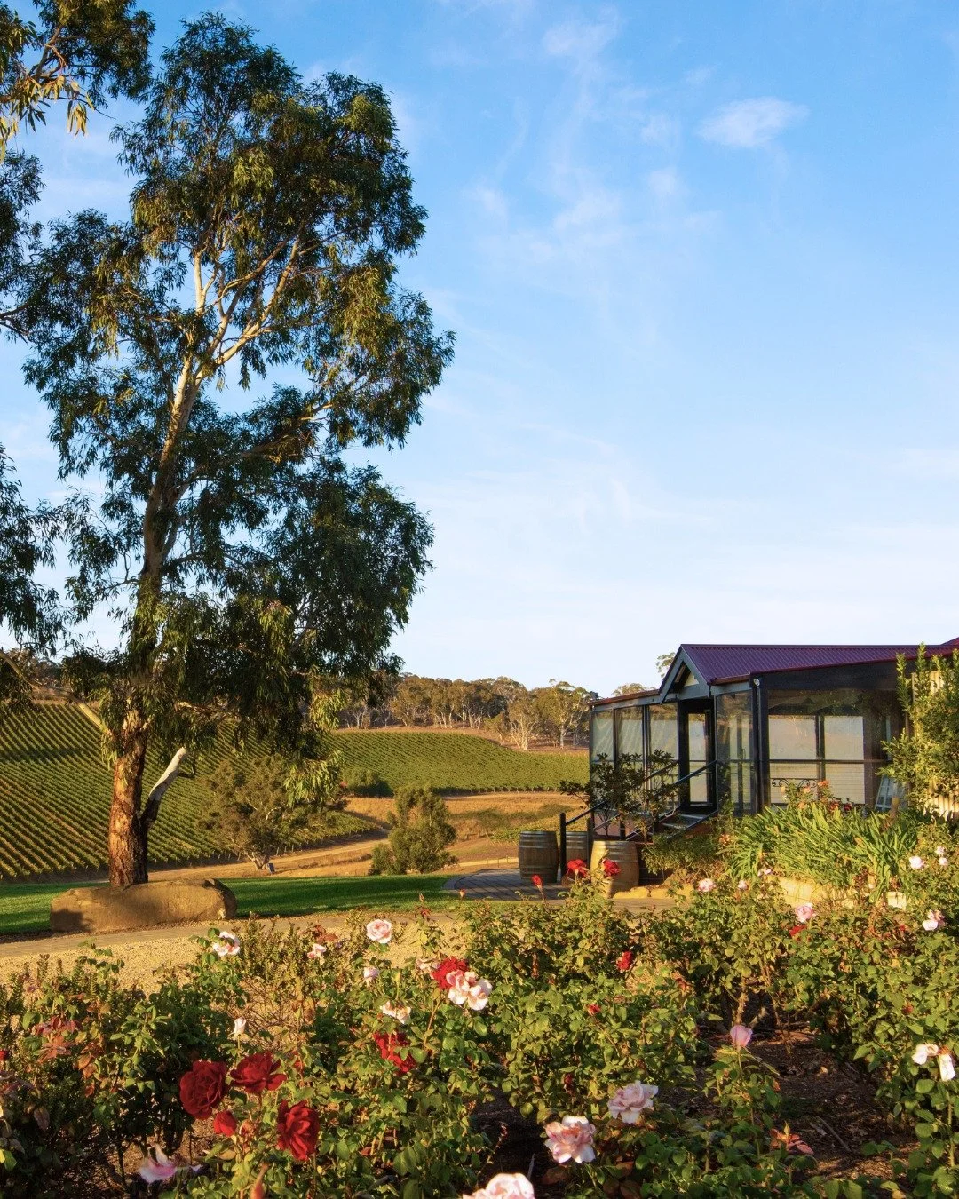 Celebrate Mother&rsquo;s Day at Longview Vineyard with a beautiful afternoon designed to bring family together 🌸

Join us on Sunday 10 May, arriving from 11:30am, with our four course long lunch commencing at 12pm. Enjoy a relaxed afternoon with lov