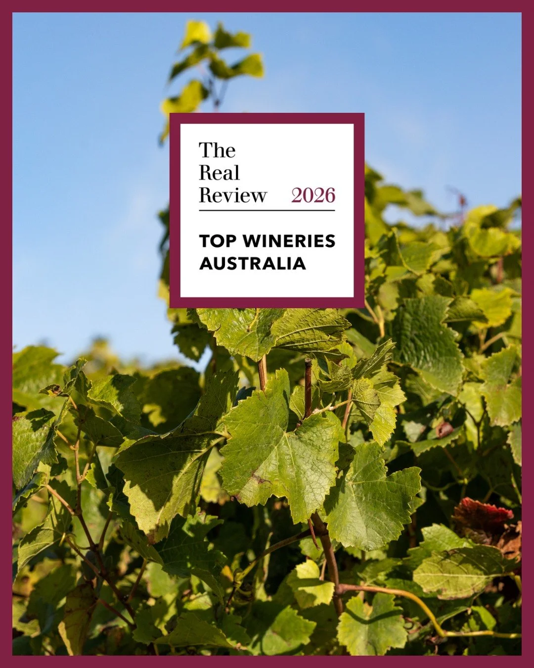 We are incredibly proud to share that Longview Vineyard has been recognised as one of The Real Review Top Wineries of Australia 2026.

This honour reflects the passion, dedication, and hard work of our entire team, from the vineyard to the winery and