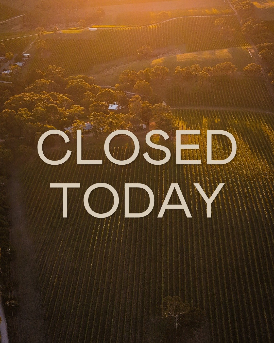 Longview Vineyard is closed today, but back to regular programming tomorrow!

Cellar Door:
Tuesday 11am - 4pm, Wine Only
Wednesday to Sunday 11am - 4pm, Lunch

Day Spa:
Tuesday to Sunday 9am - 5pm
Late night Fridays until 8pm