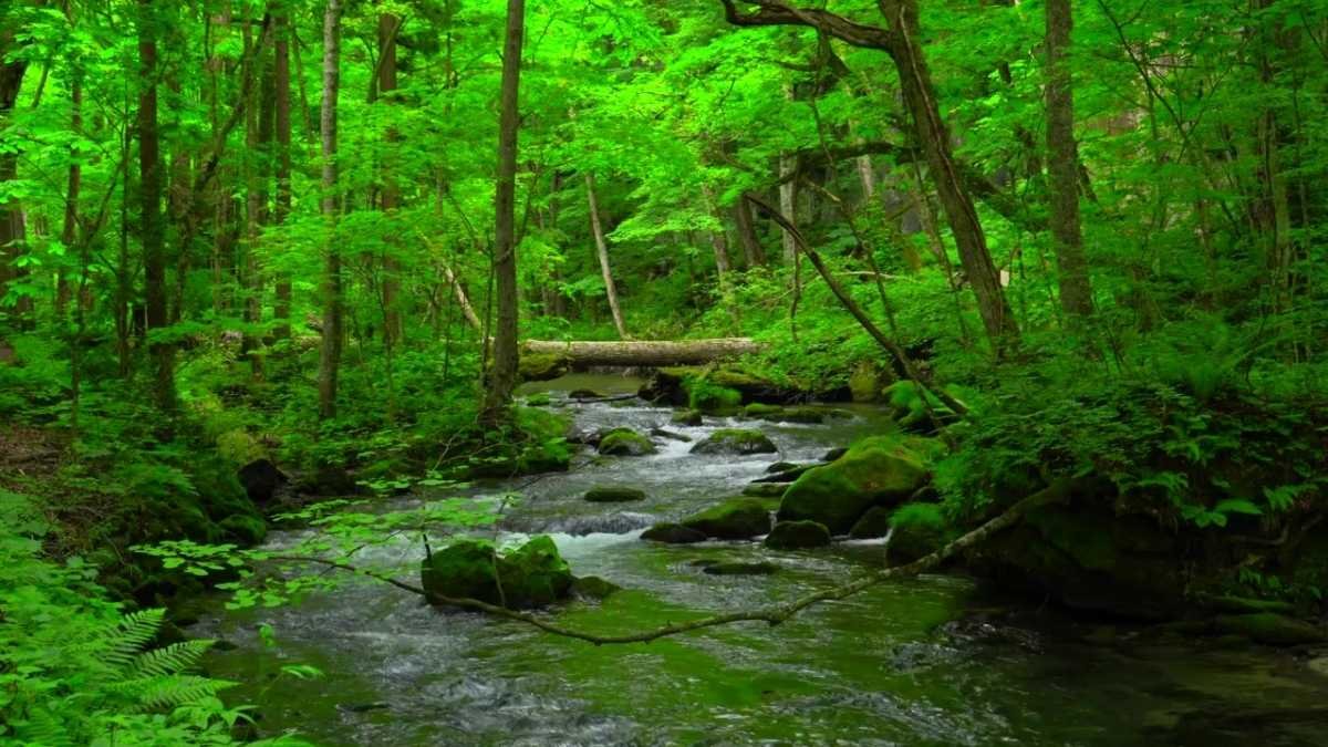 Rainwater Consulting River (2).jpg