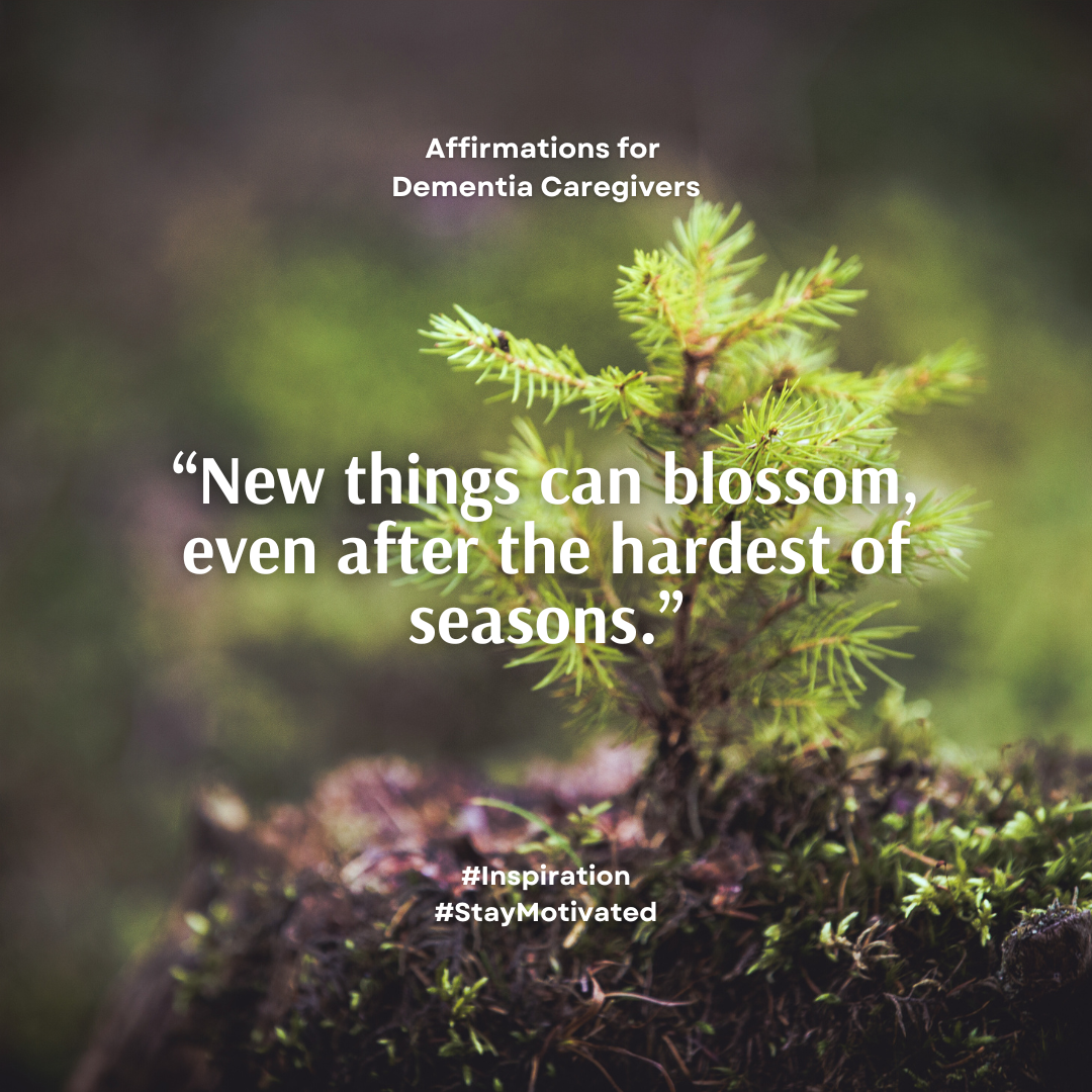 Douglas fir Tree Sprout coming up from forest floor