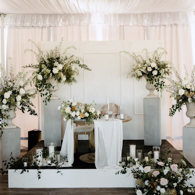 French White Backdrop