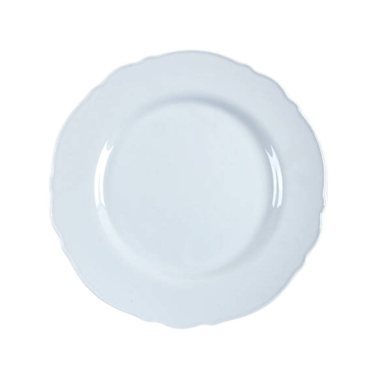 Scallop Dinner Plate