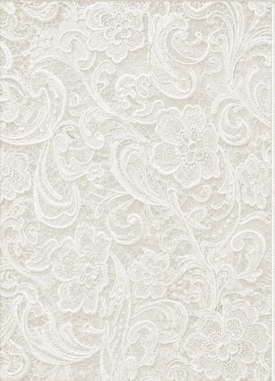 Coastal Lace Overlay