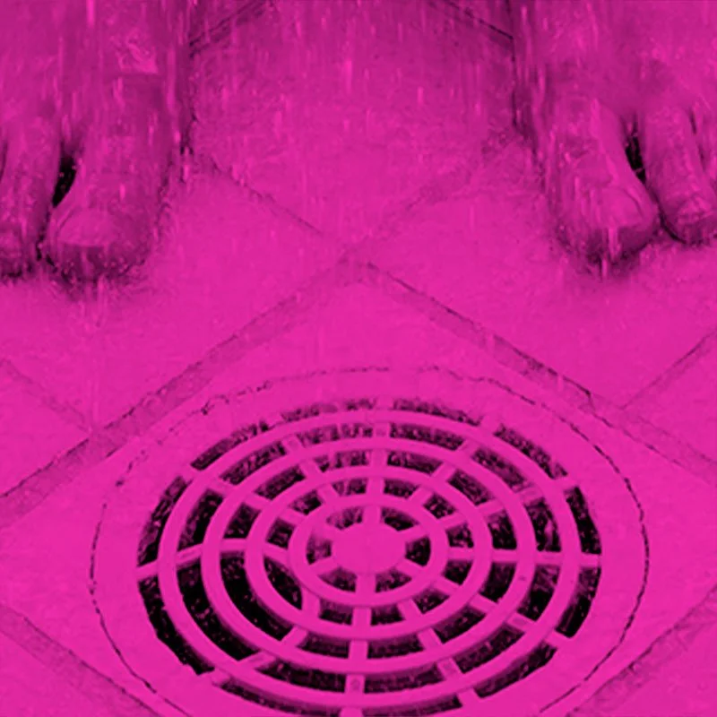 Shower-Drains.jpg