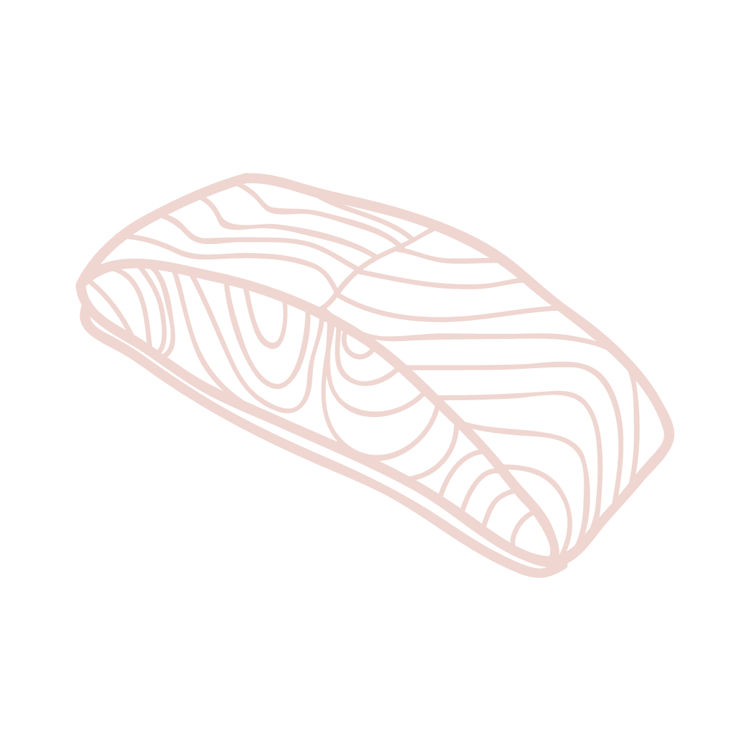 Salmon.png