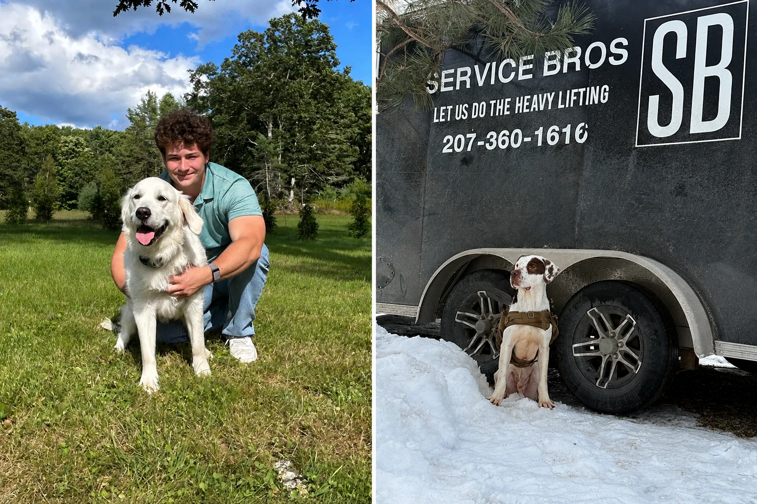 A man crouching on green grass outdoor with a large golden retriever, and a dog wearing a harness sitting next to a service vehicle in the snow.