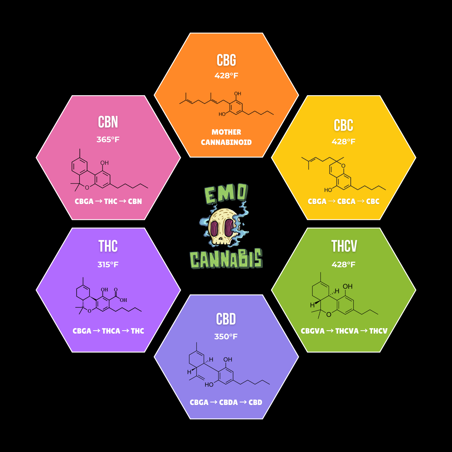 Cannabinoid Back.png