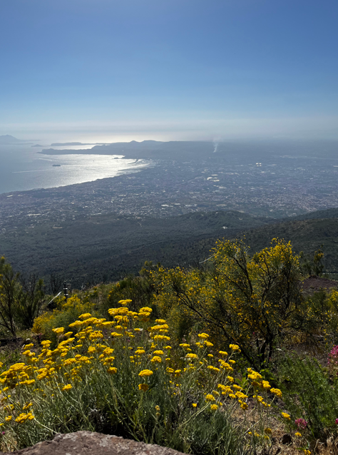 5 things Joey needs to do in Italy