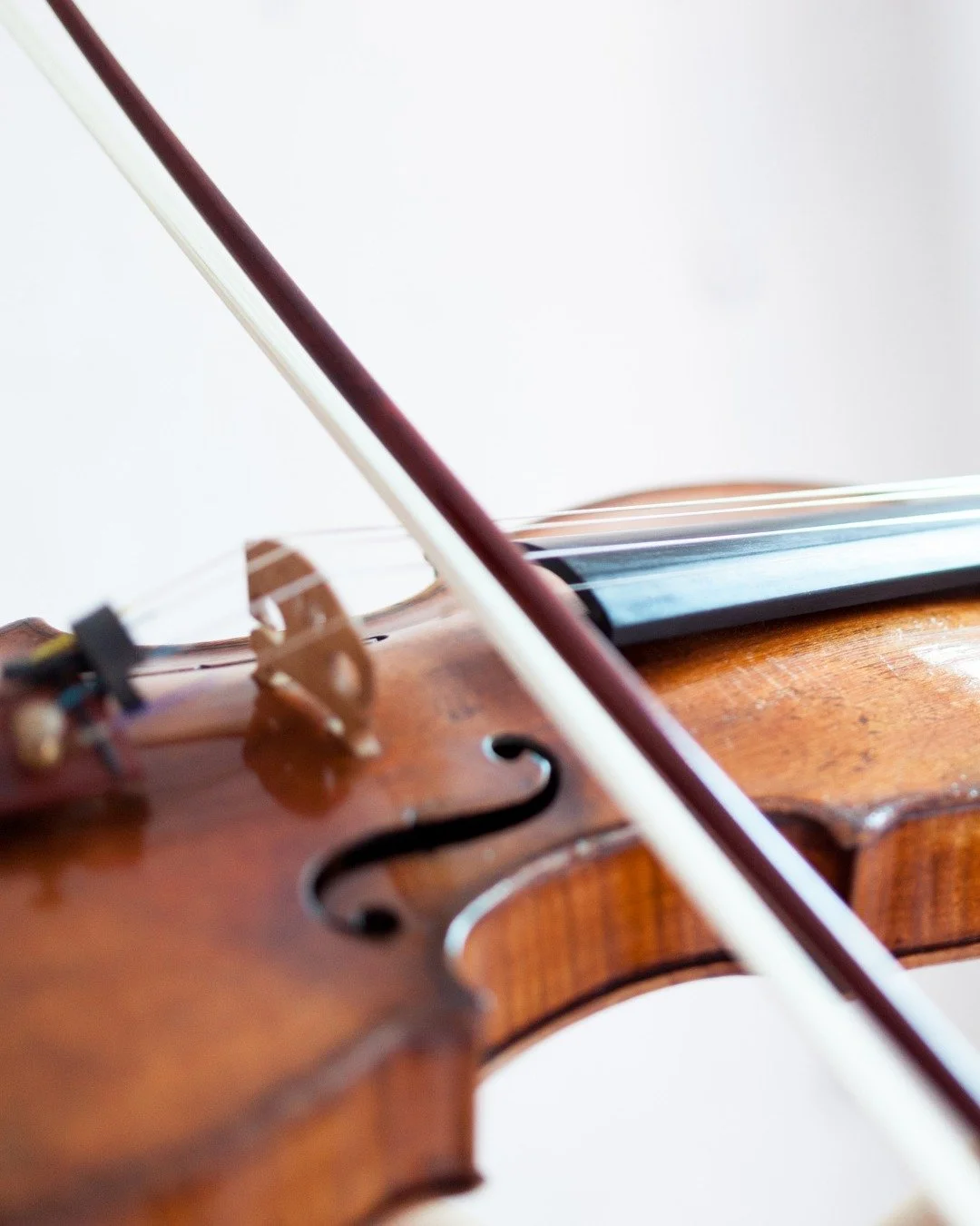 Behind every great performance is a team of skilled craftspeople helping musicians get the very best from their instruments.

From luthiers and rehairers to restorers and makers, the work done behind the scenes plays an important role in keeping stri