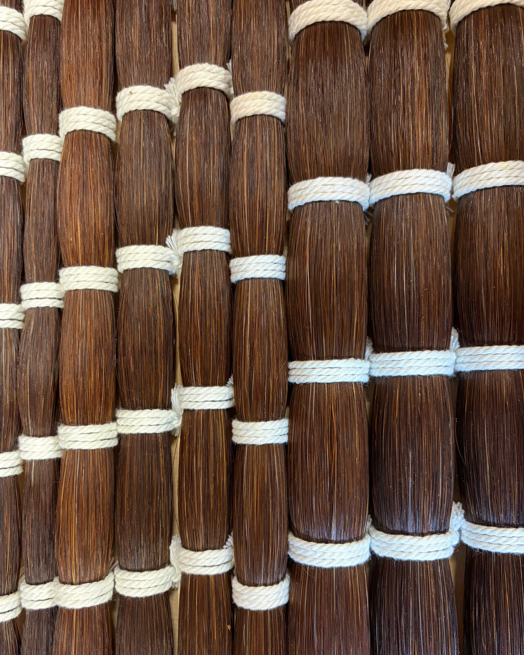 Chestnut