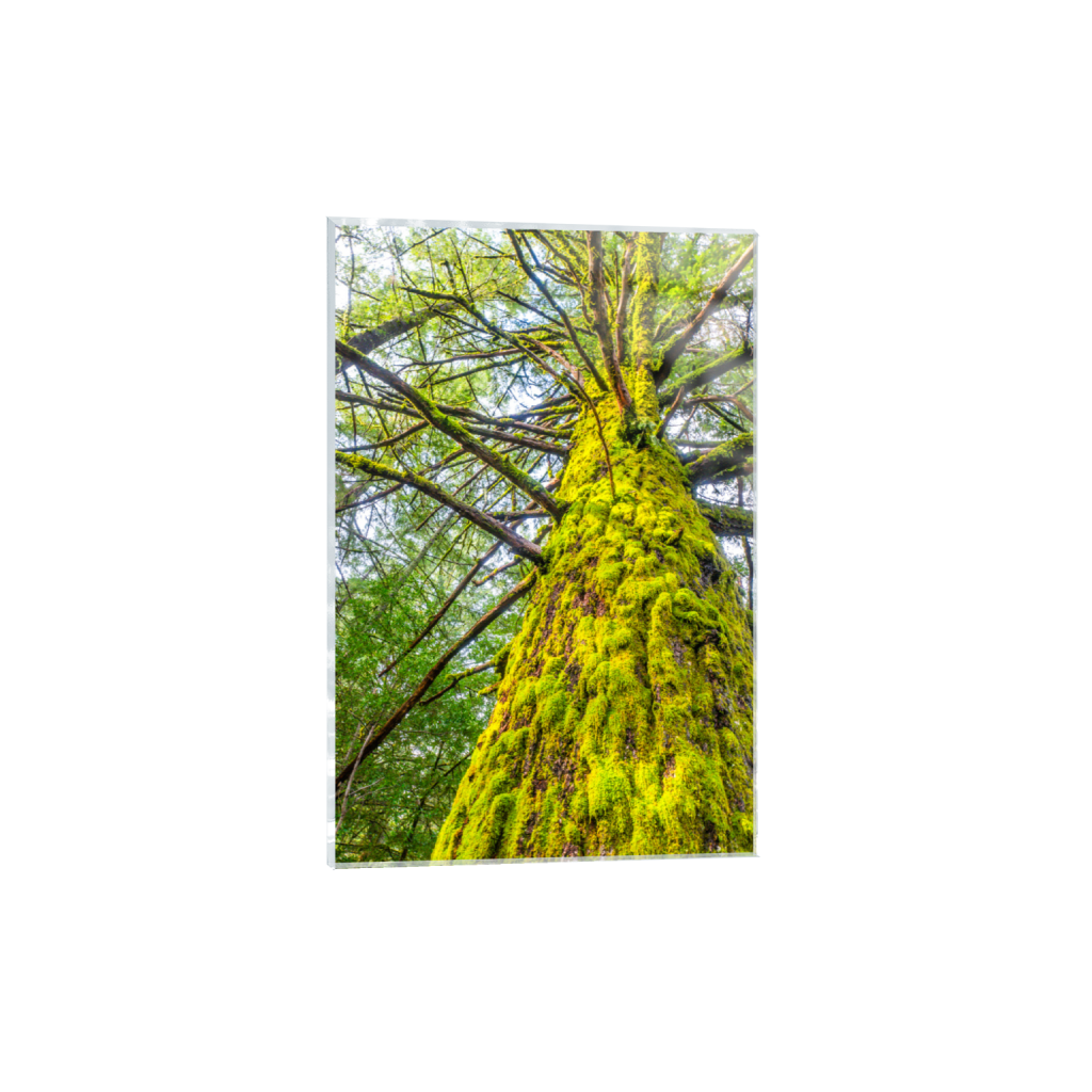 ptq_17_3_0_0_4000_6000_0_false_ffffff_0_0_.png
