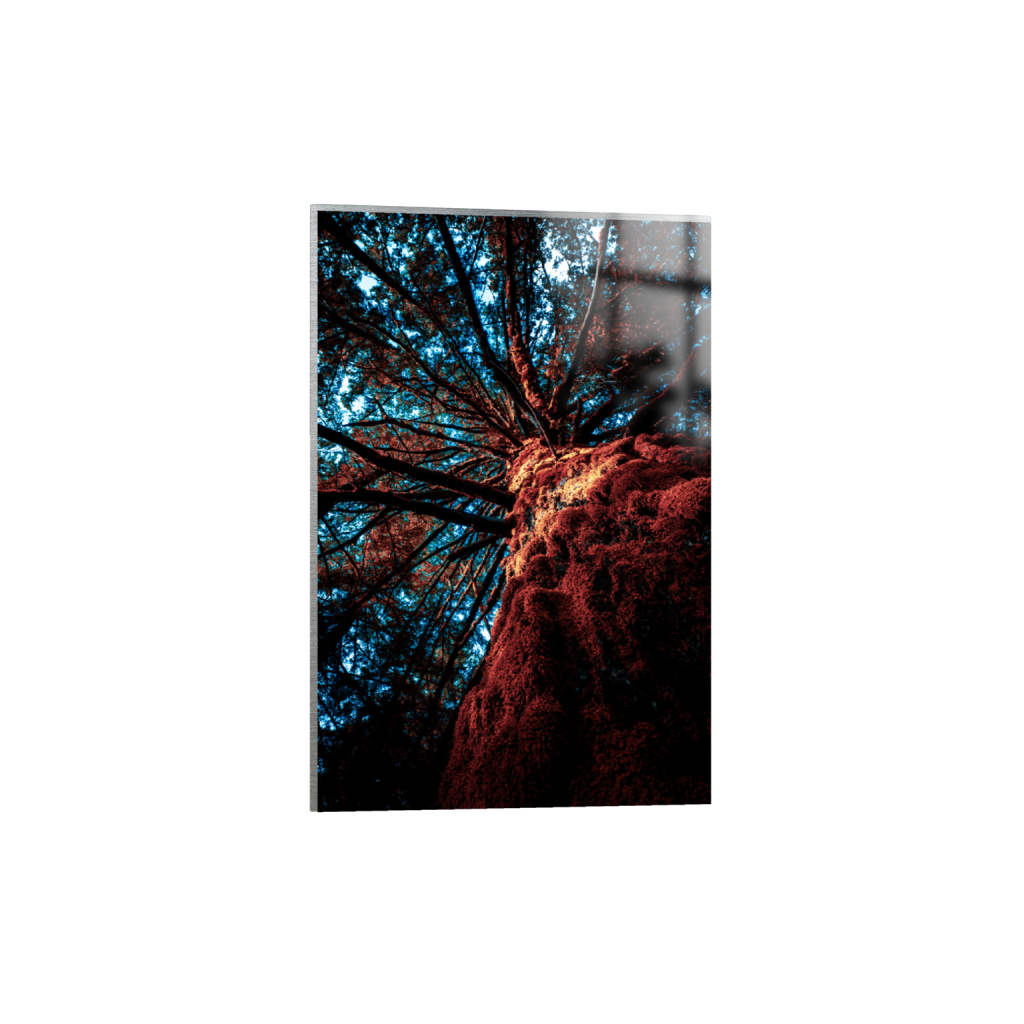 ptq_13_3_0_0_4000_6000_0_false_ffffff_0_0_.png
